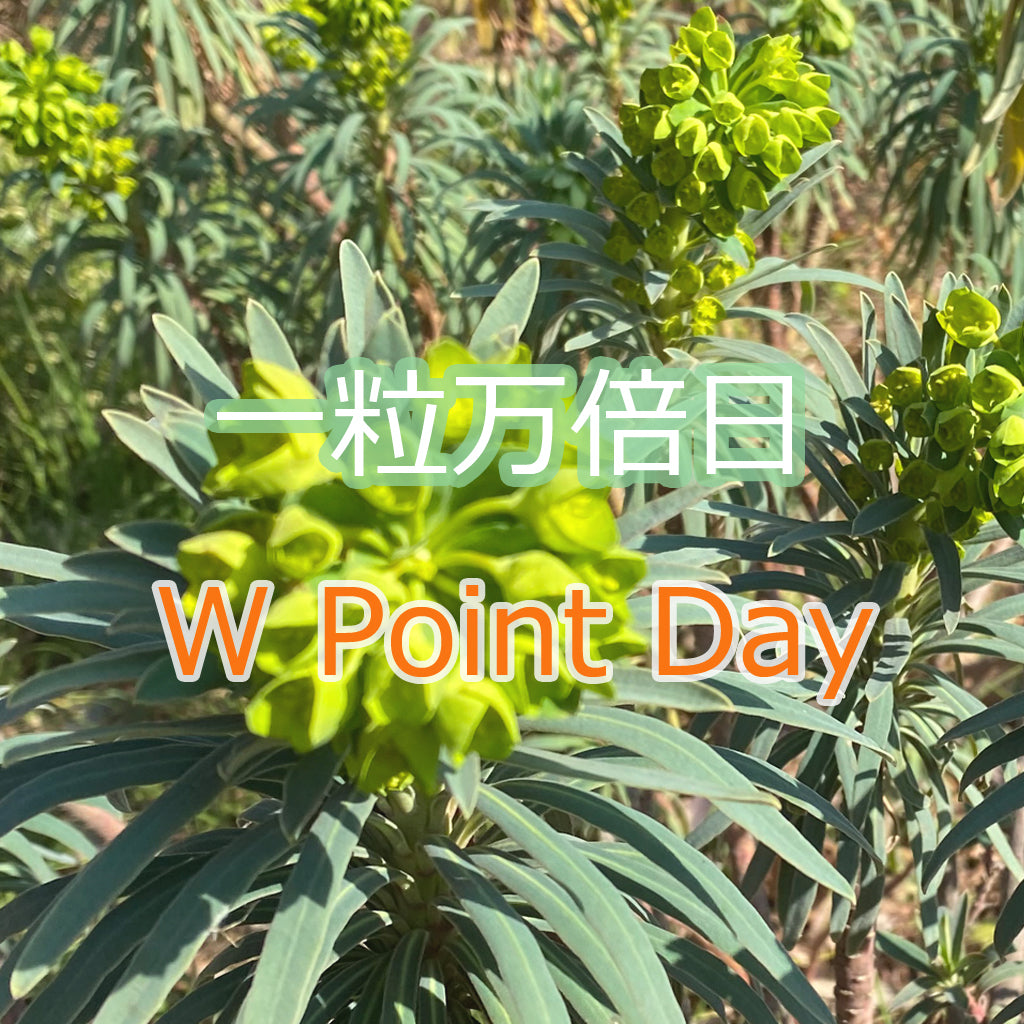 【一粒万倍日】W Point Day