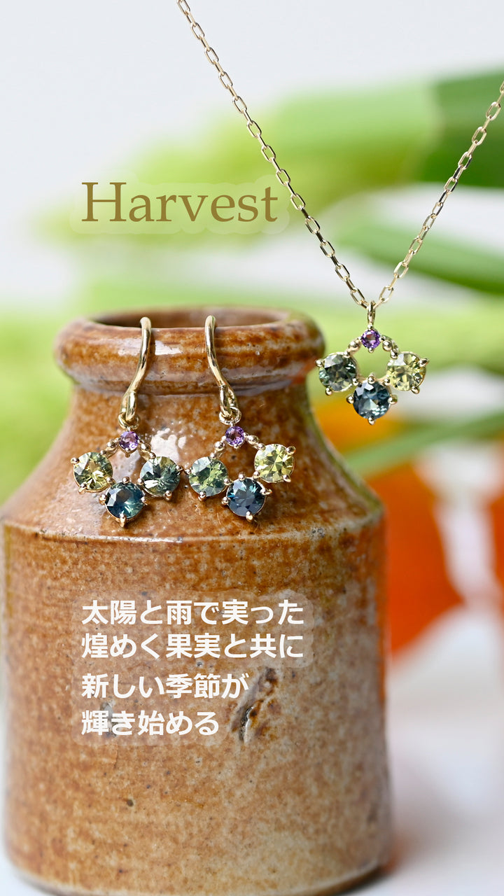 Harvest　ピアス 【K10YG】24A/W